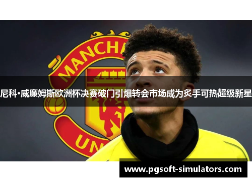 尼科·威廉姆斯欧洲杯决赛破门引爆转会市场成为炙手可热超级新星