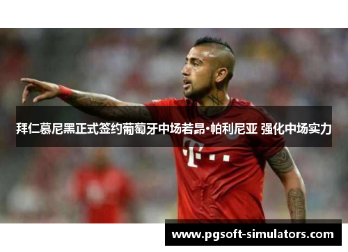 拜仁慕尼黑正式签约葡萄牙中场若昂·帕利尼亚 强化中场实力